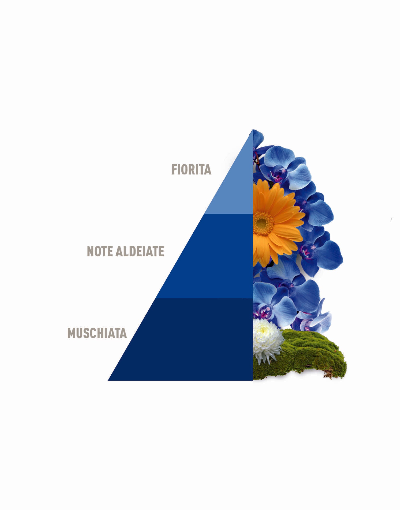 HOROMIA Sacchetti multiuso Blue-Fior di Loto