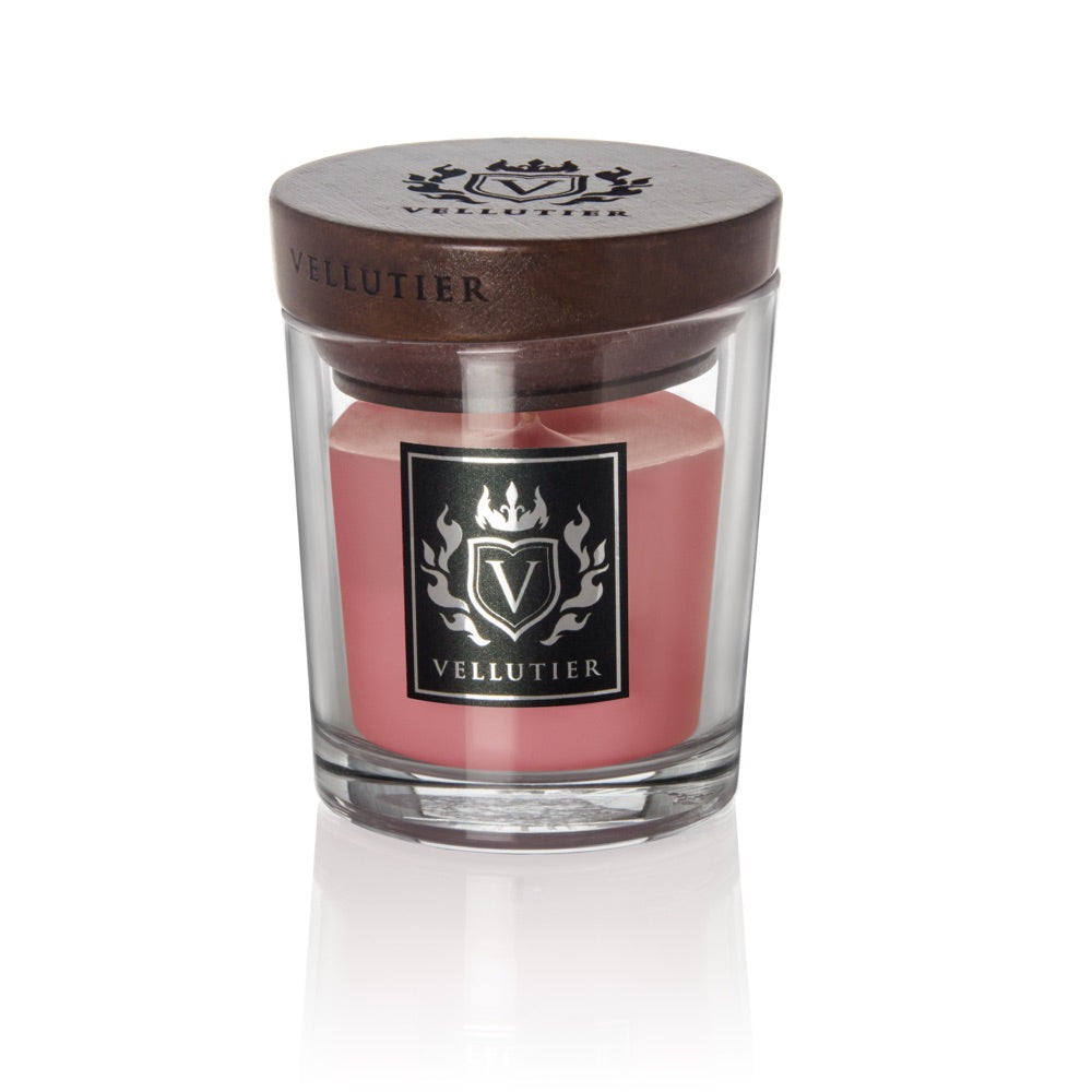 Vellutier candela Succulent Pink Grapefruit
