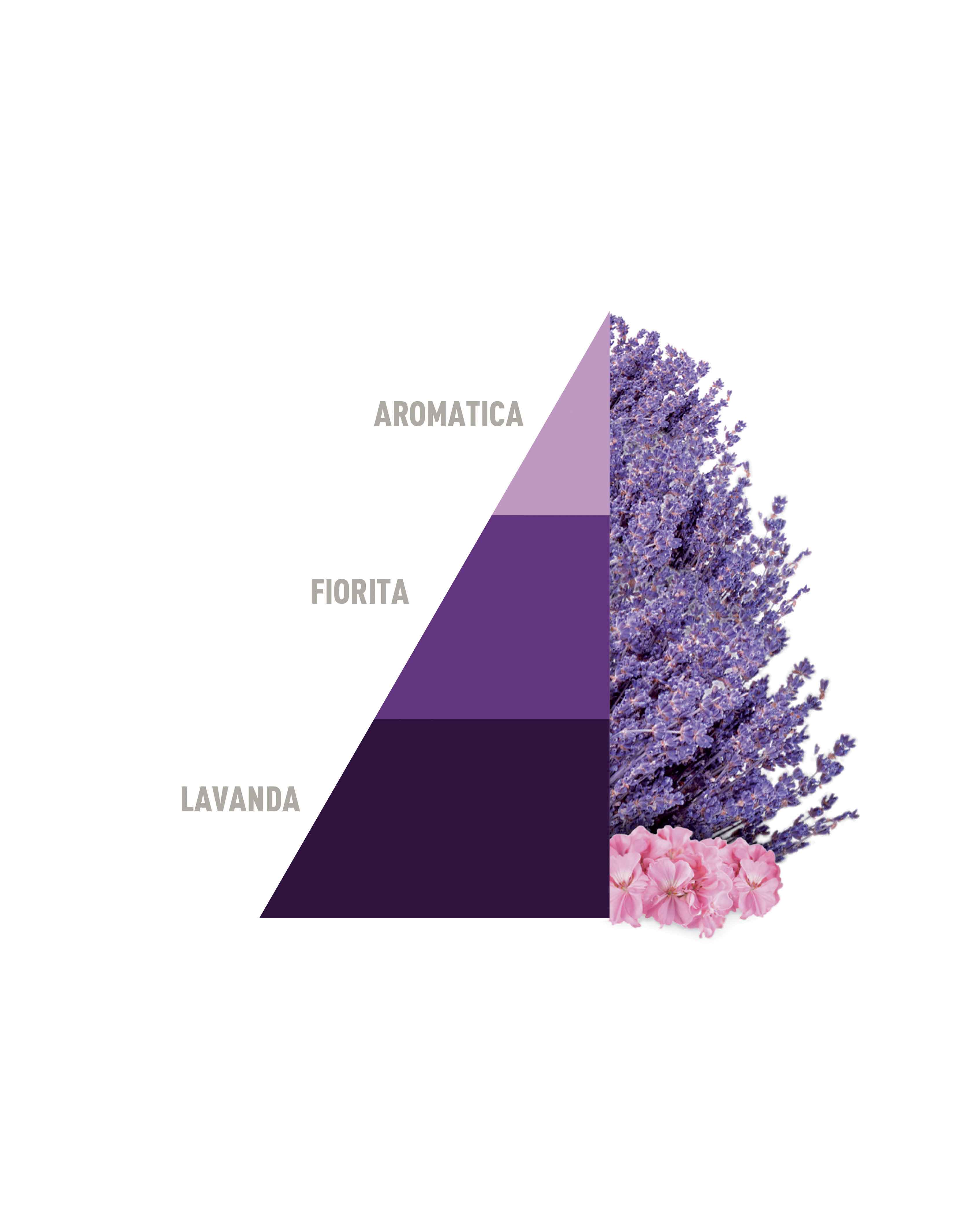 HOROMIA Sacchetti multiuso Aromatic Lavander